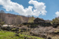 Etna
